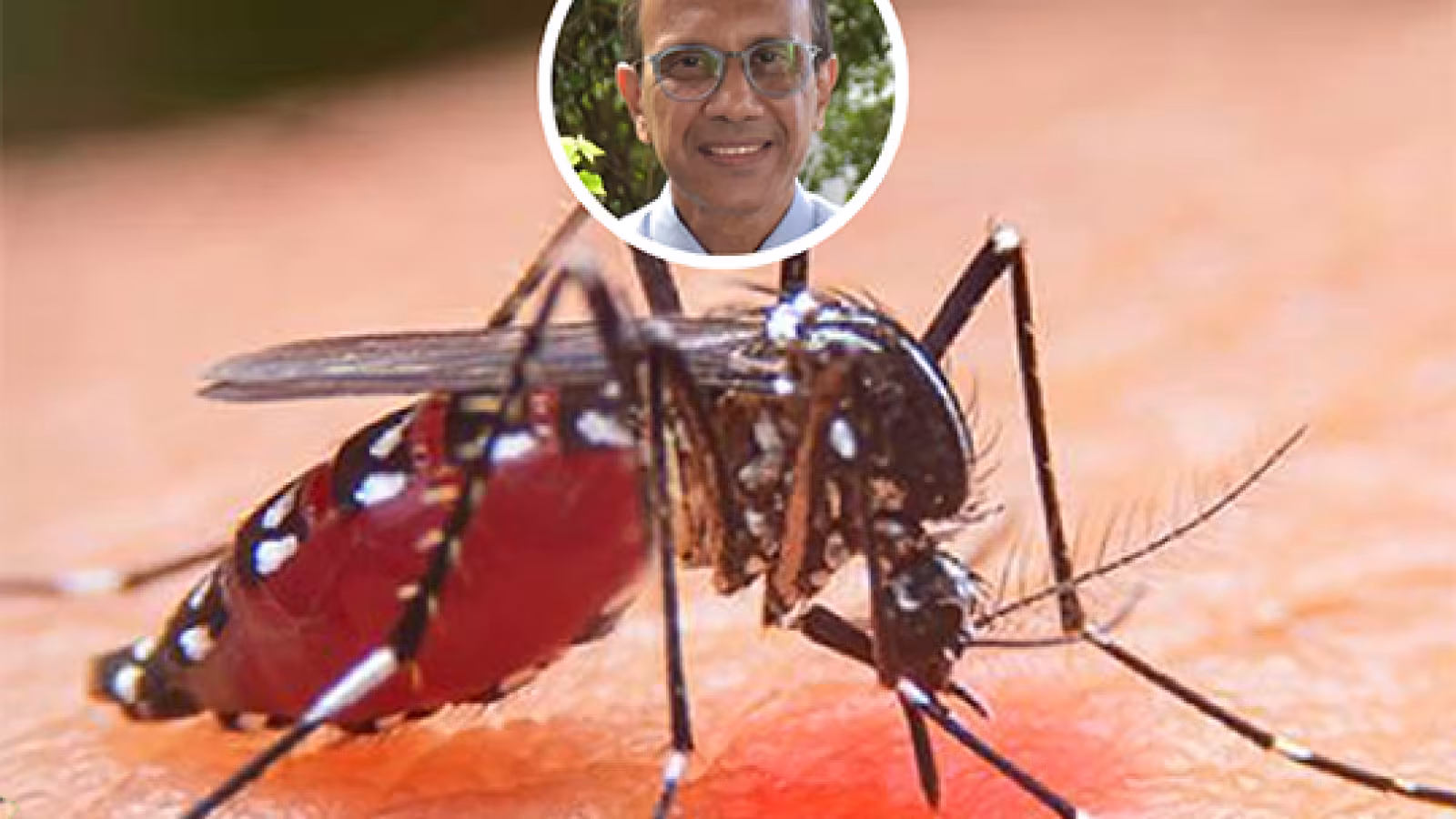   Premier cas de Chikungunya : l’état de santé de la patiente jugée stable