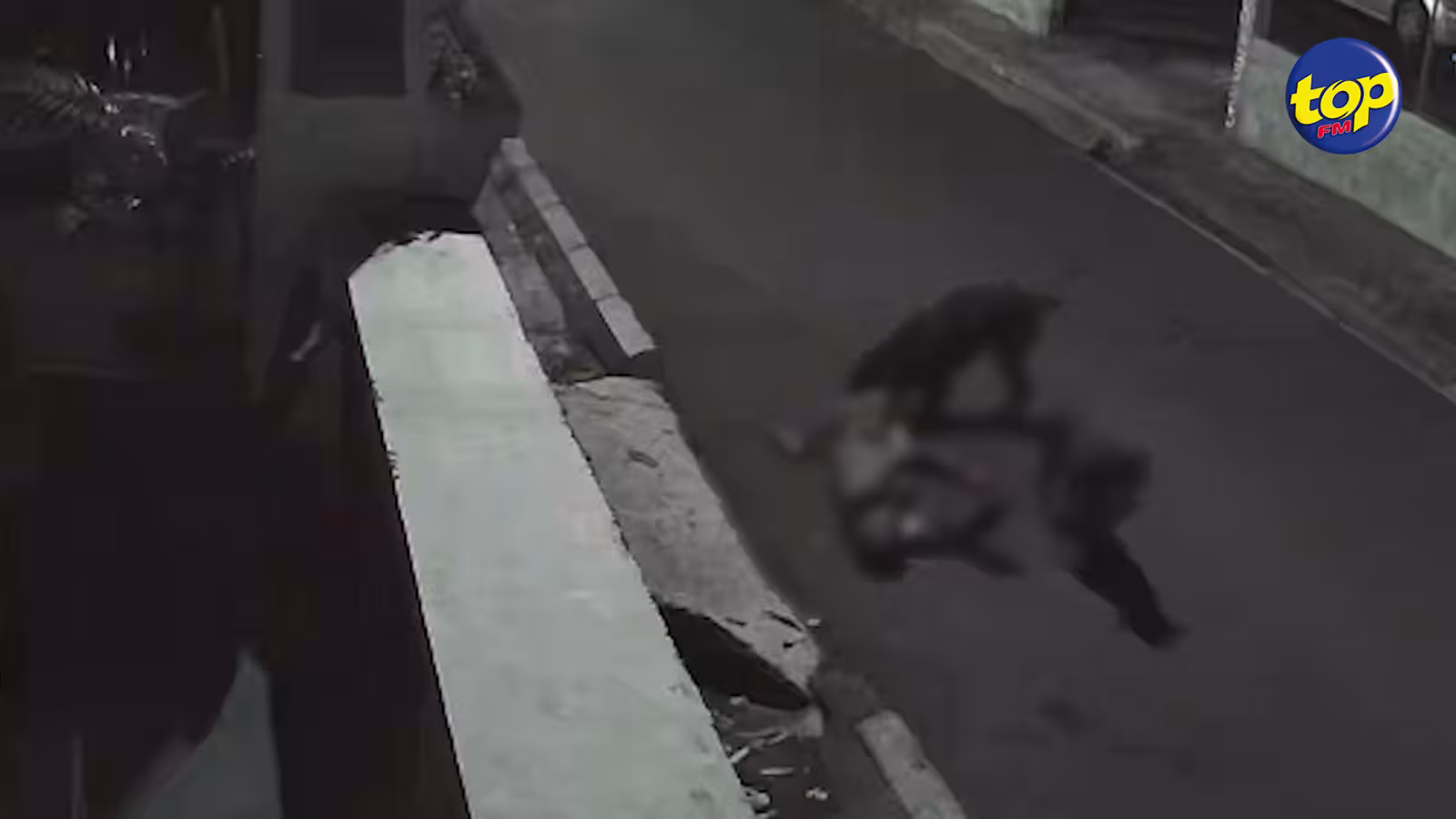 Agression d’un comptable de 43 ans : nouvelle comparution pour Roddy Venkatasami, le propriétaire des rottweilers ce jeudi