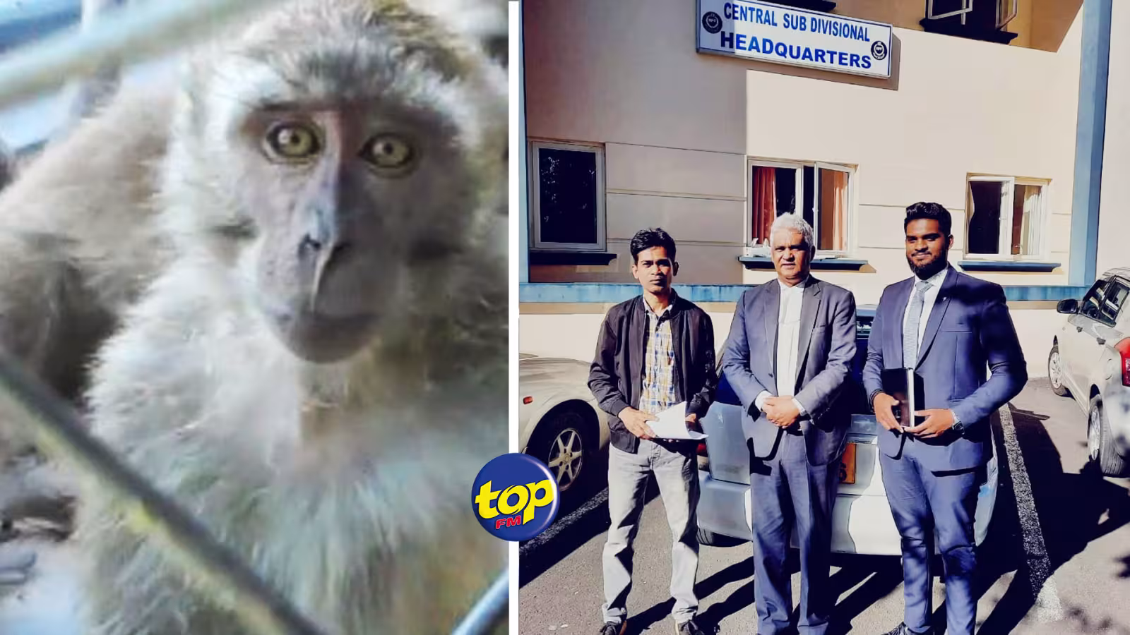 Découverte d’une ferme de singes non loin du lac sacré : Une déposition consignée par l’activiste Reda Chamroo au poste de Vacoas jeudi