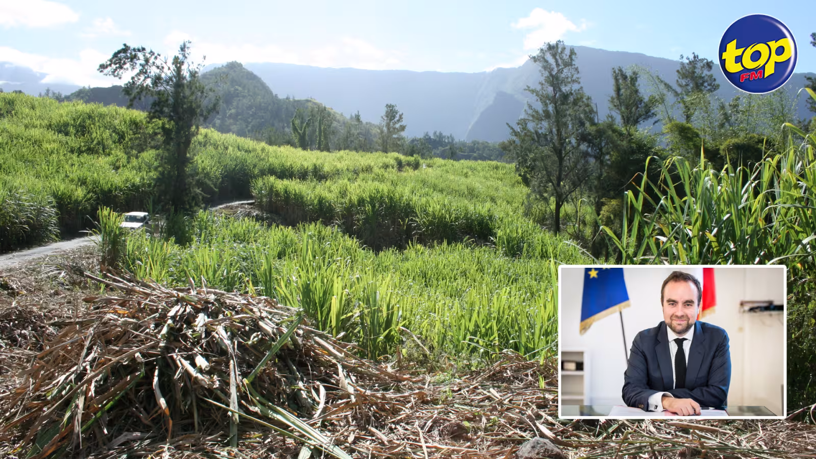 Visite de Sébastien Lecornu à la Réunion : Les planteurs de cannes mettent la pression