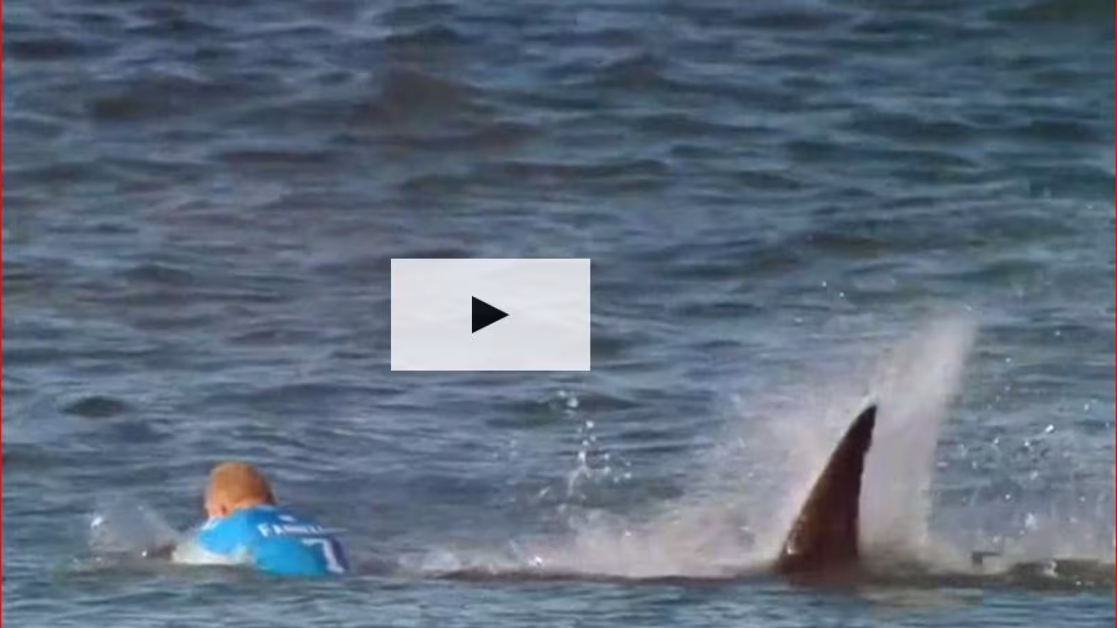 Un requin dévore une femme en eau peu profonde