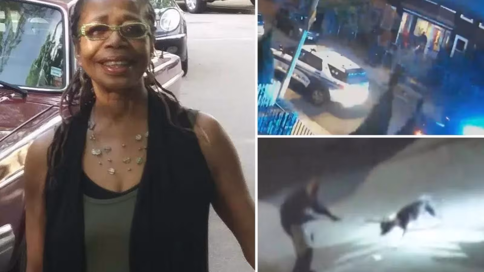 Etats-Unis : une femme âgée de 73 ans mutilée à mort par son propre pit-bull