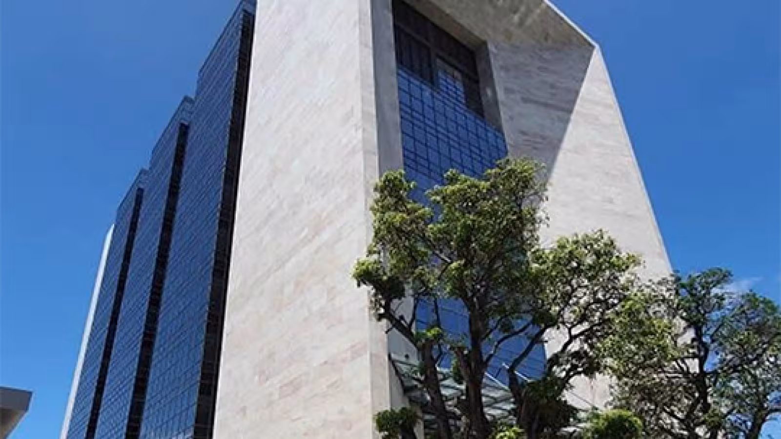 Singes élevés à Henrietta : un procès contre Biosphere Trading Ltd devant la Cour suprême