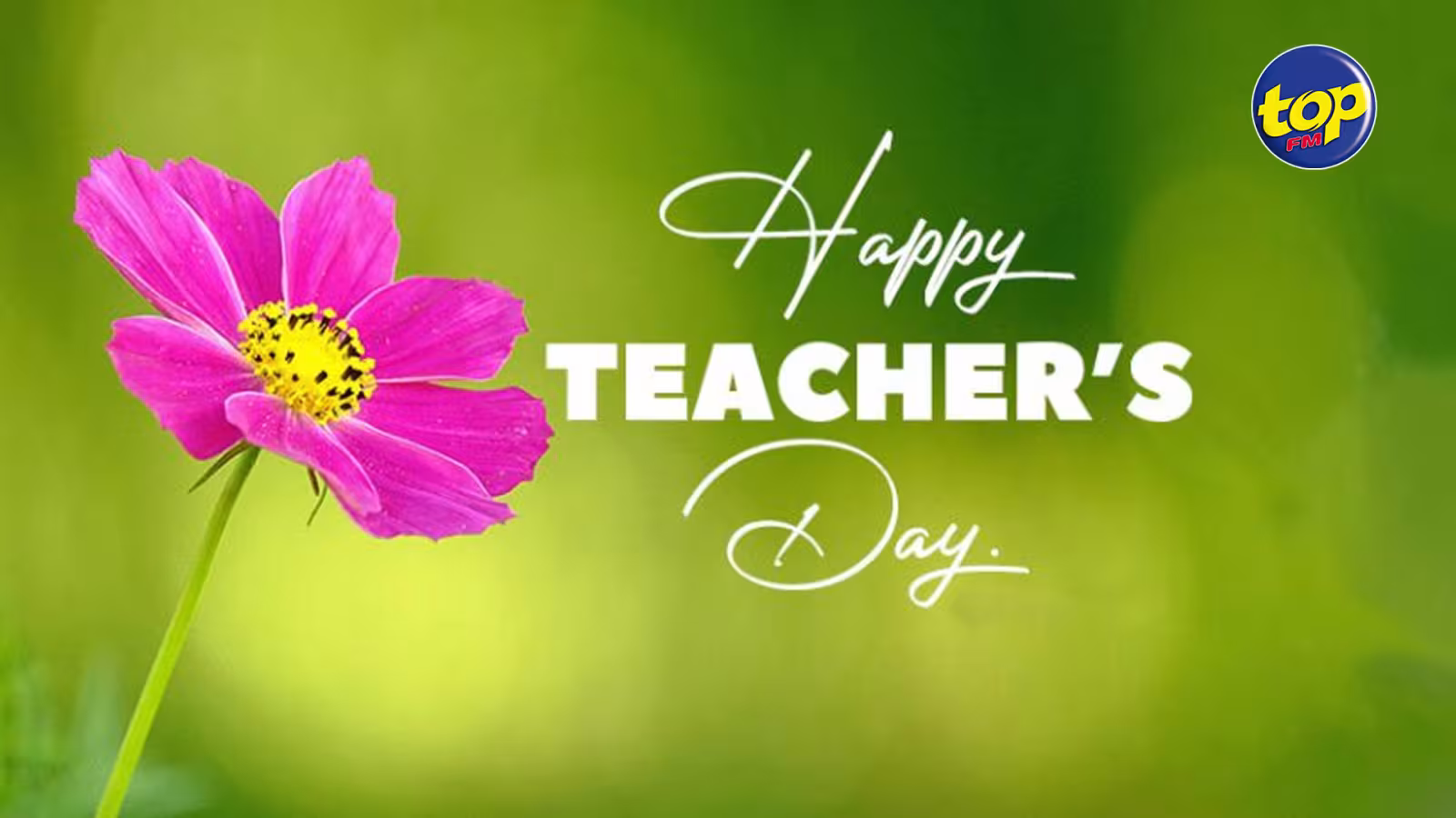 Le Teacher’s Day célébré en ce 5 octobre : un métier réinventé en raison de la pandémie