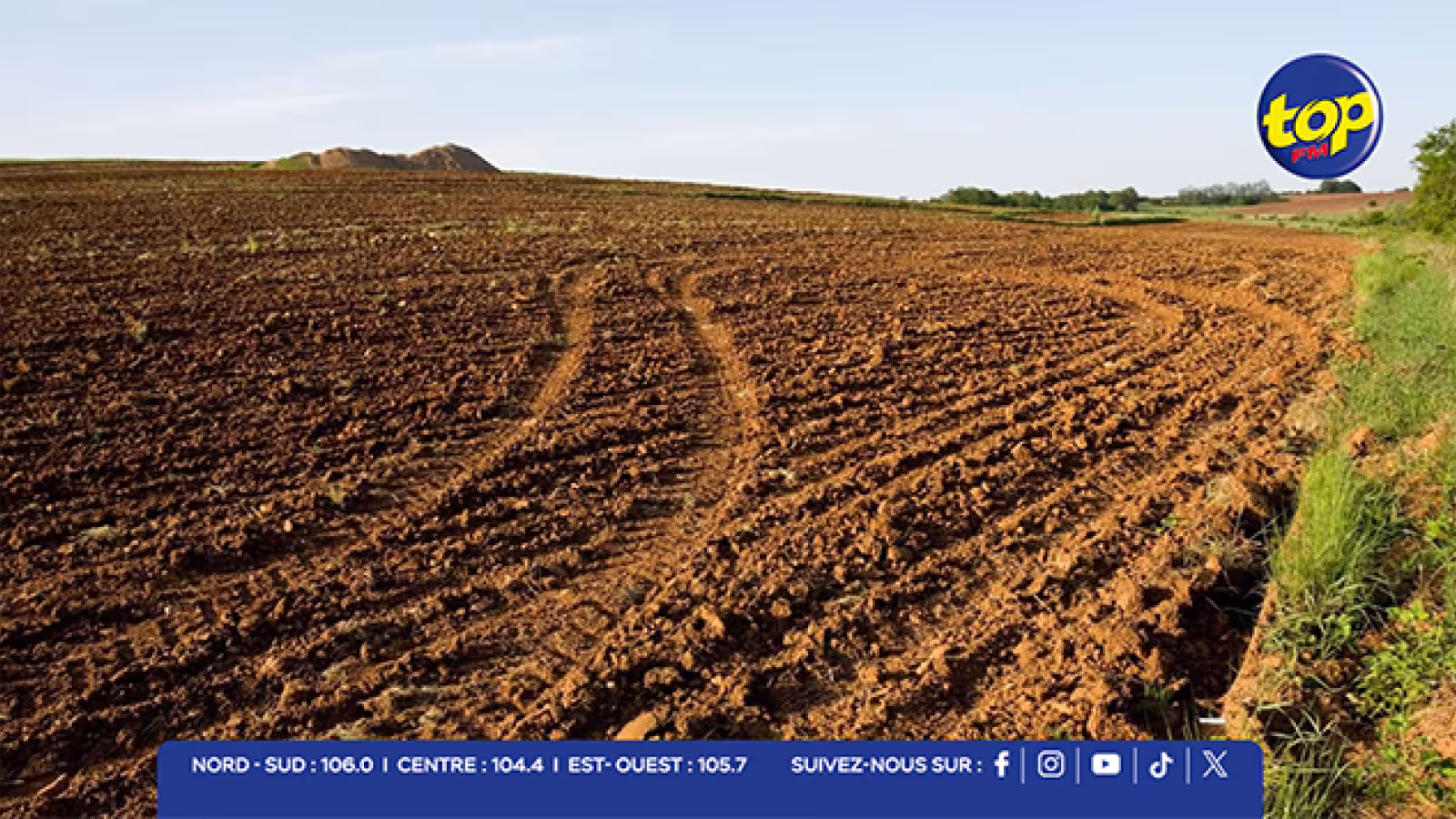 Plus de 55 000 arpents de terres agricoles abandonnés : le ministère du Travail et de l’Agro mise sur les travailleurs étrangers pour faire progresser l’agriculture