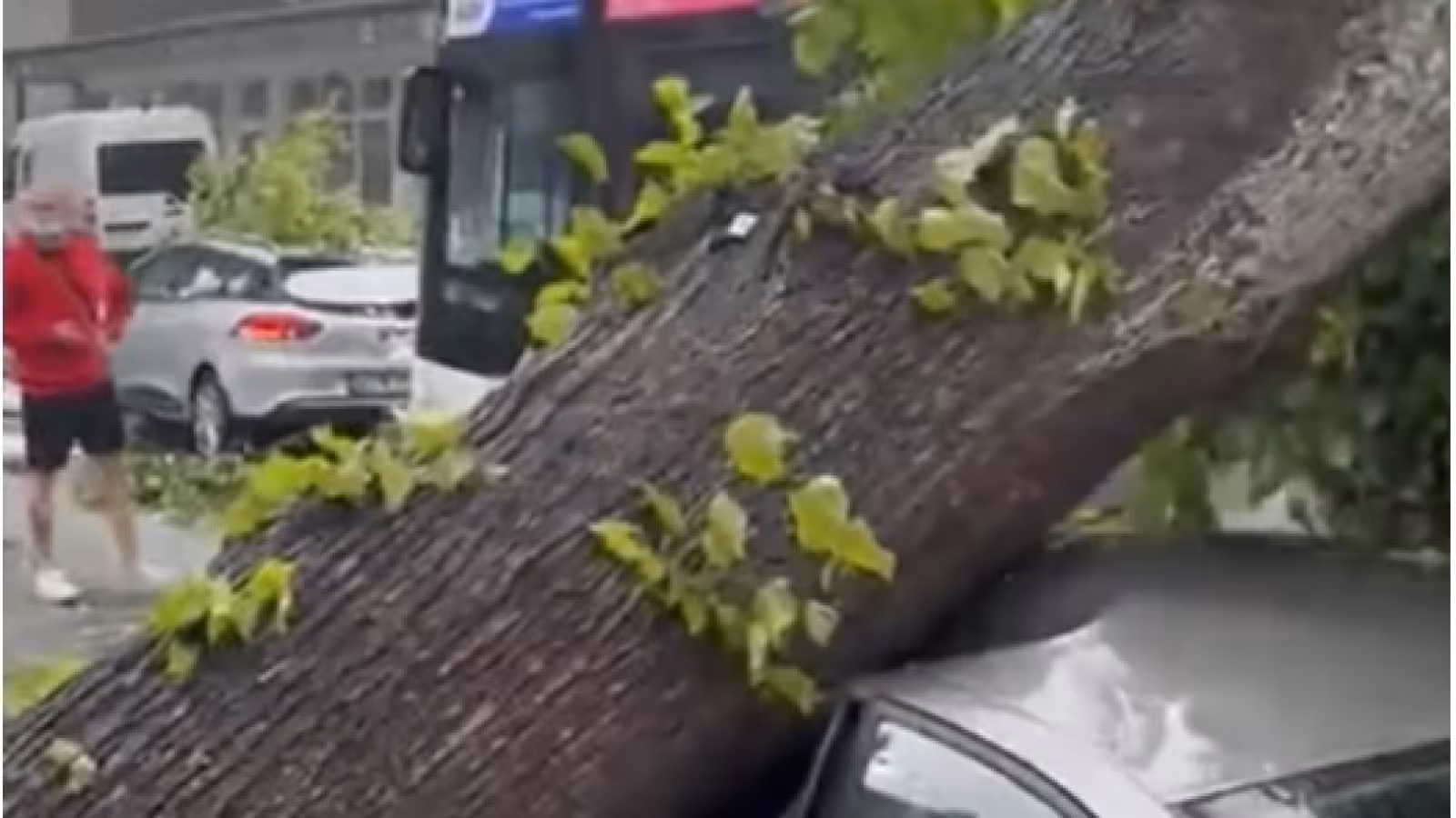 Allemagne : Une tornade née en quelques secondes dévaste une ville et fait 40 victimes