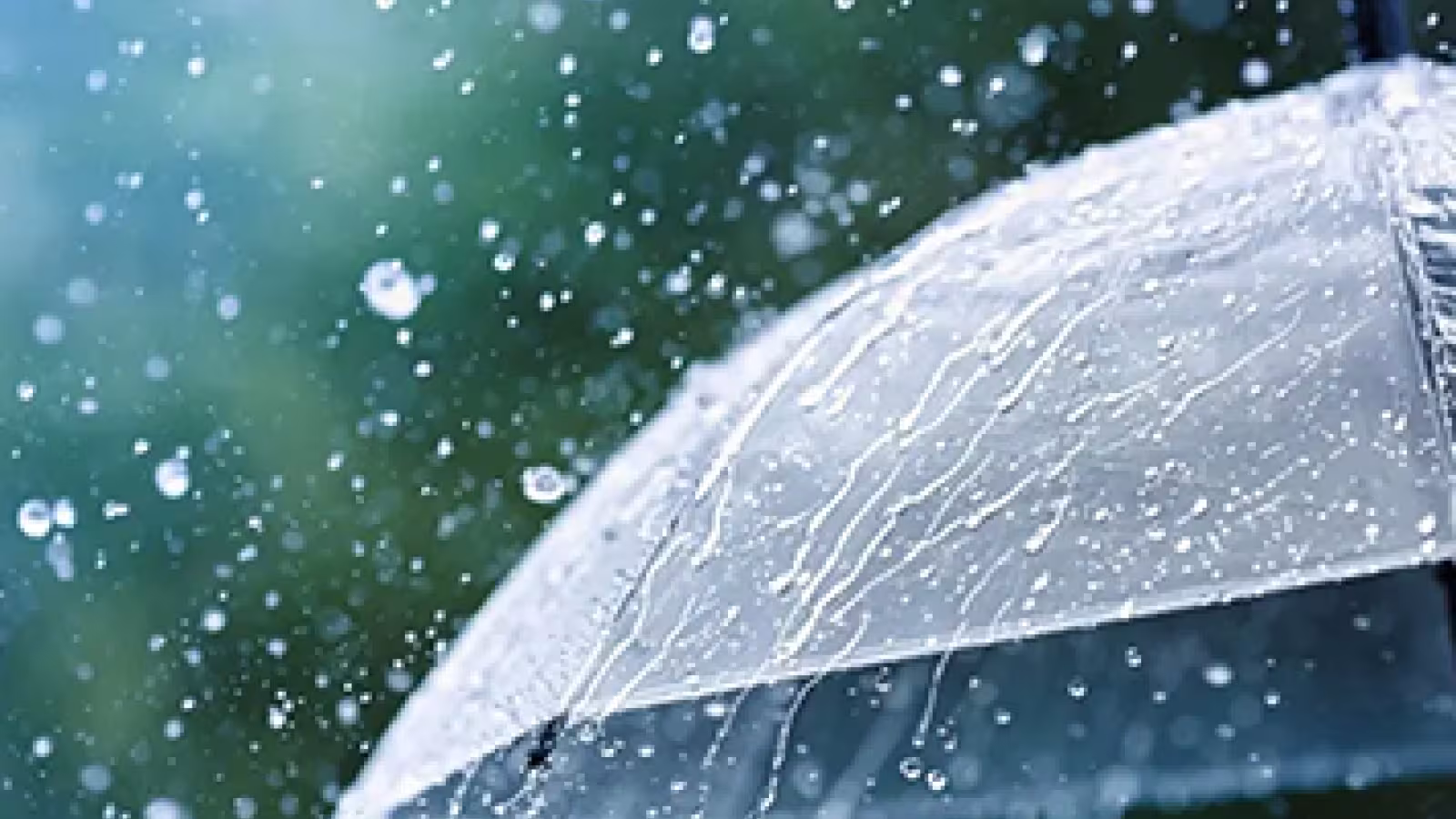 Météo : un avis de fortes pluies en vigueur, valable jusqu'à 19h00 ce soir