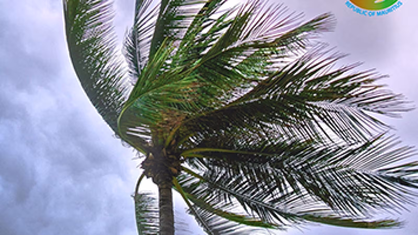 Activation des Comités Locaux d'Urgence pour une réponse rapide face au cyclone