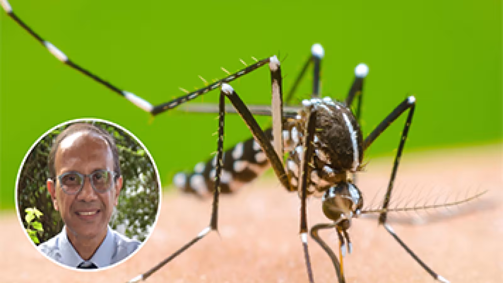 Dengue : un deuxième cas détecté