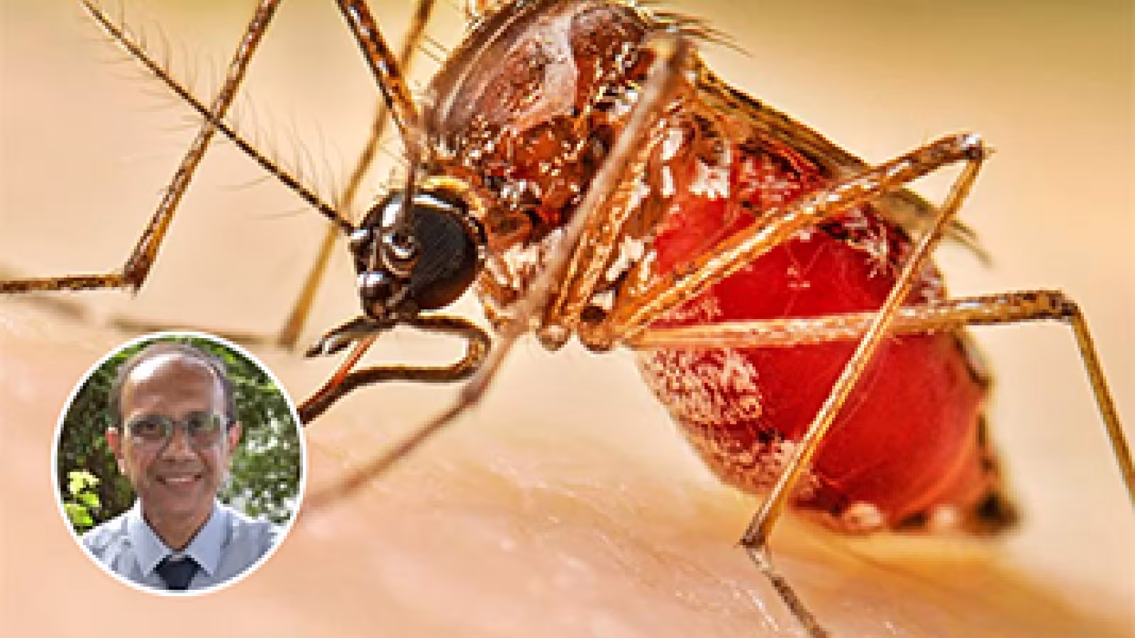 Santé : 5 nouveaux cas de dengue détectés