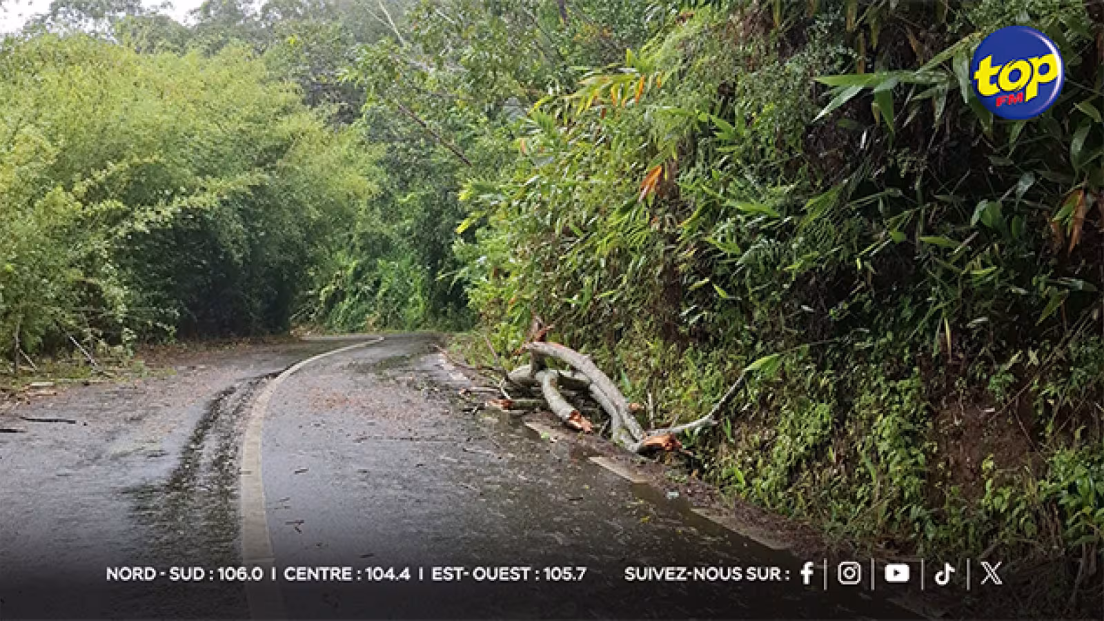 Route de Chamarel : déblaiement effectué après l'obstruction causée par un arbre