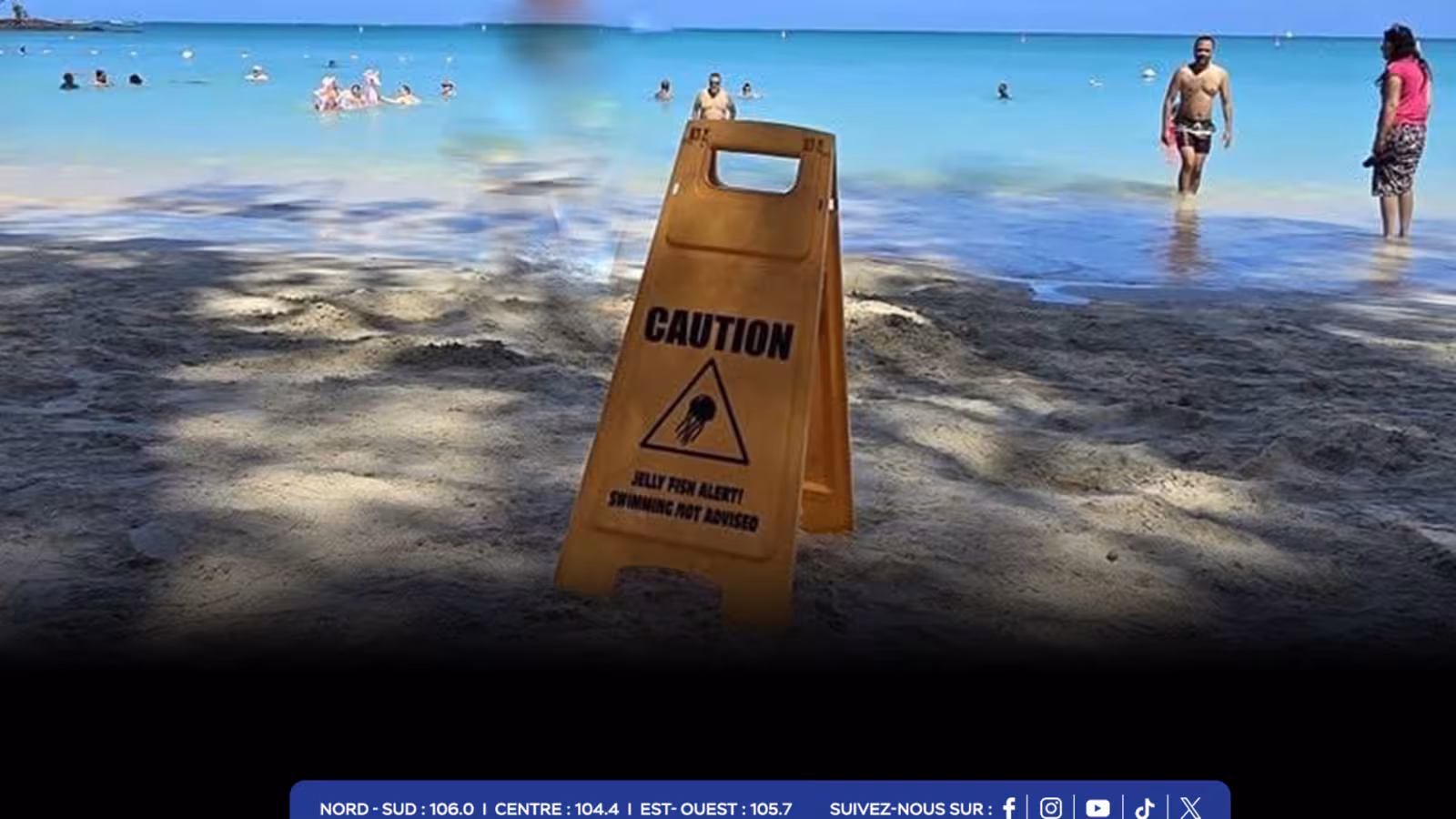 Trou aux Biches, Grand Baie et Péreybère, entre autres : gare aux méduses dans le Nord 