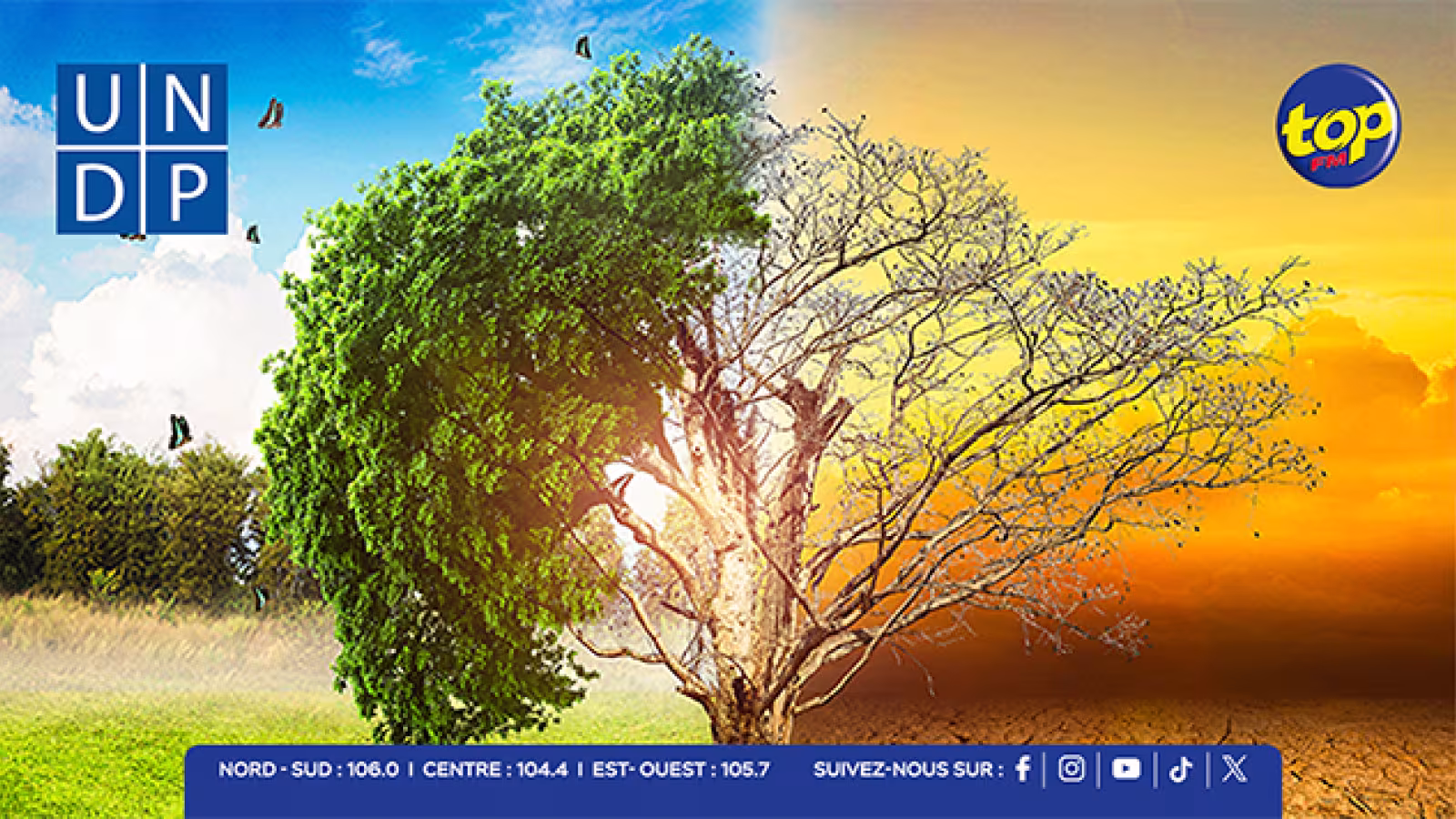 Environnement et climat : l’UNDP renforce sa collaboration avec Maurice pour un futur durable