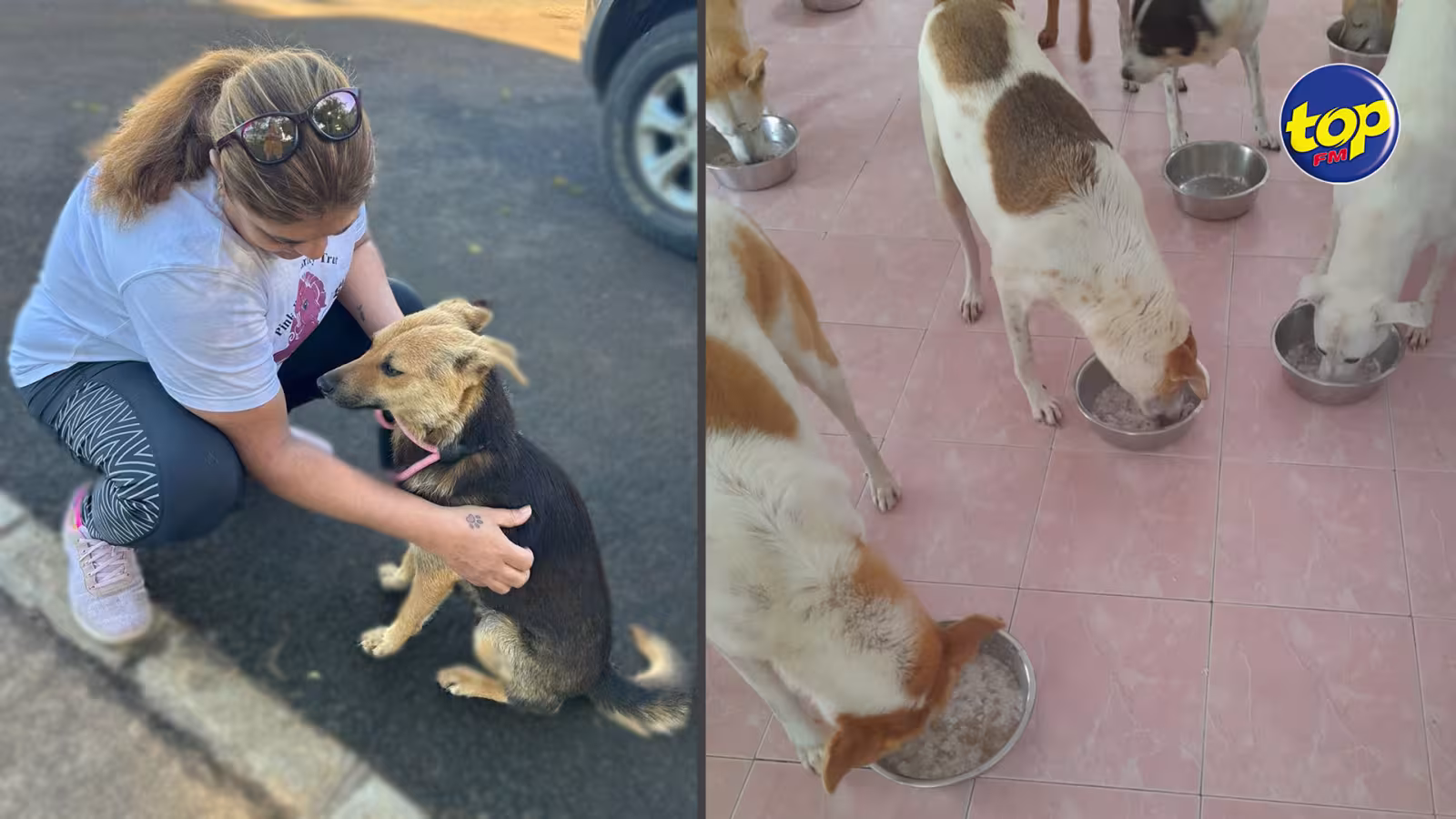 Triste constat en cette Journée mondiale des animaux : « Ene zanimo li cuma dire ene zenfan…mais à Maurice nu mank compassion…nu truv bocou toutous pé maltraiter », regrette Usha Oodit