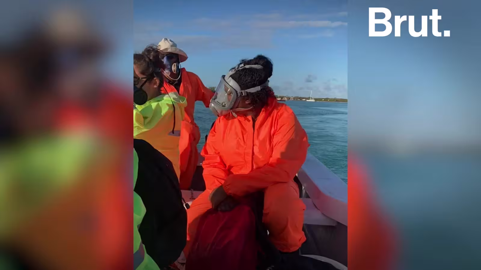 Marée noire : le travail de la Mauritian Widlife Foundation salué par la presse internationale