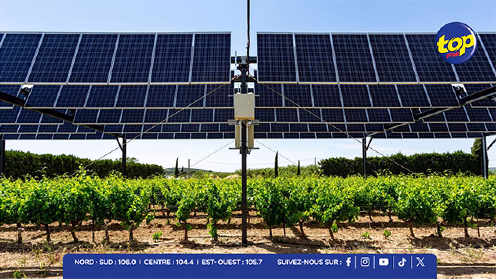 Agri-solaire : le gouvernement lance un projet stratégique de 40 mégawatts pour allier agriculture et énergie verte