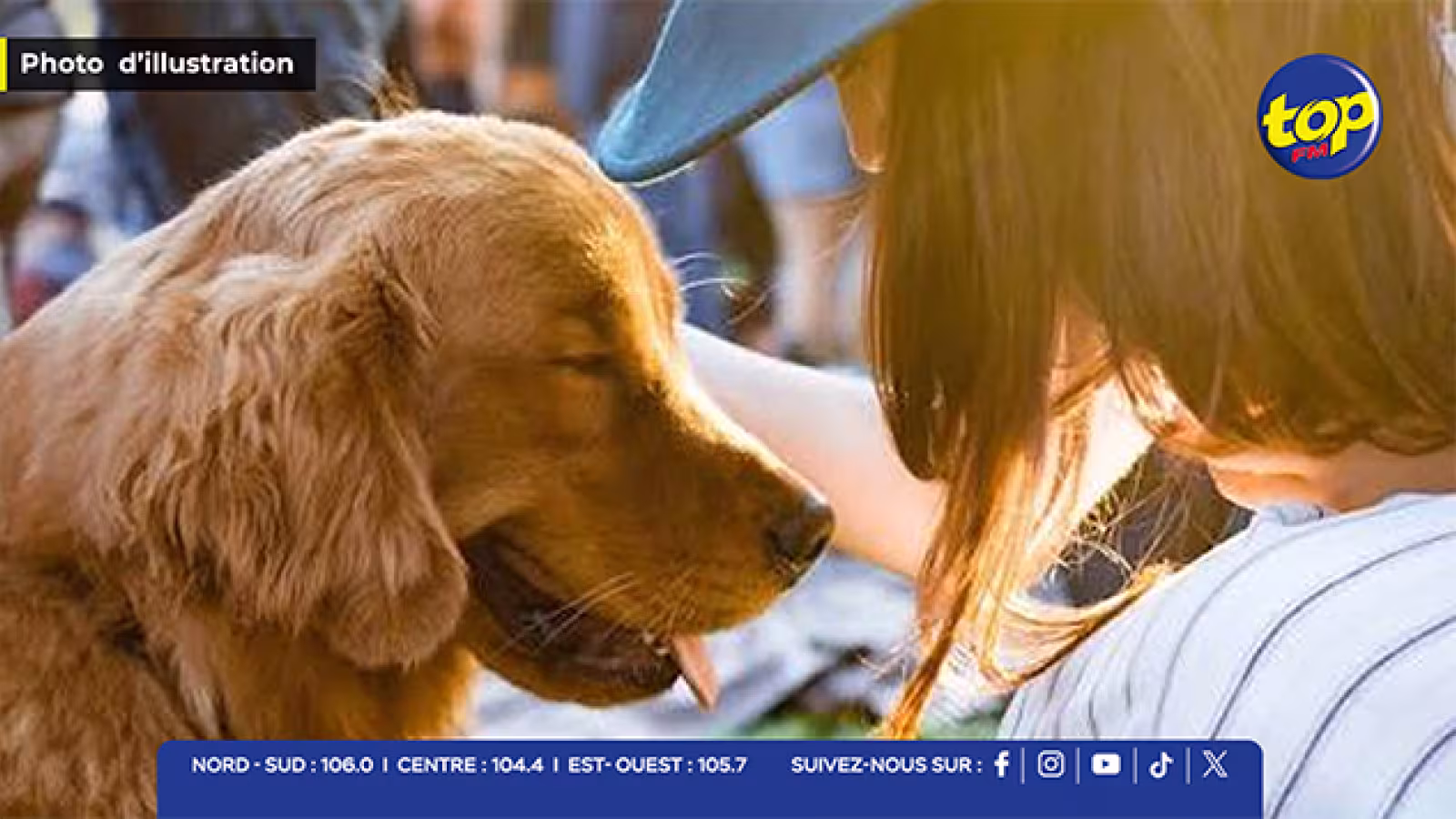 Bien-être animal : Un sanctuaire pour chiens bientôt intégré au projet vétérinaire de Rs 2 milliards