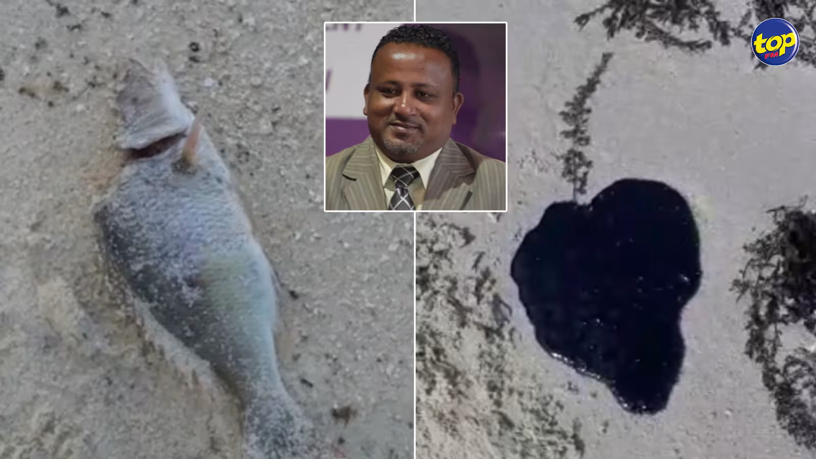 Traces d’huile et poissons morts découverts sur la plage de Pointe d’Esny : “Est-ce que les poissons du lagon sont comestibles ? ” s’interroge Tony Apollon