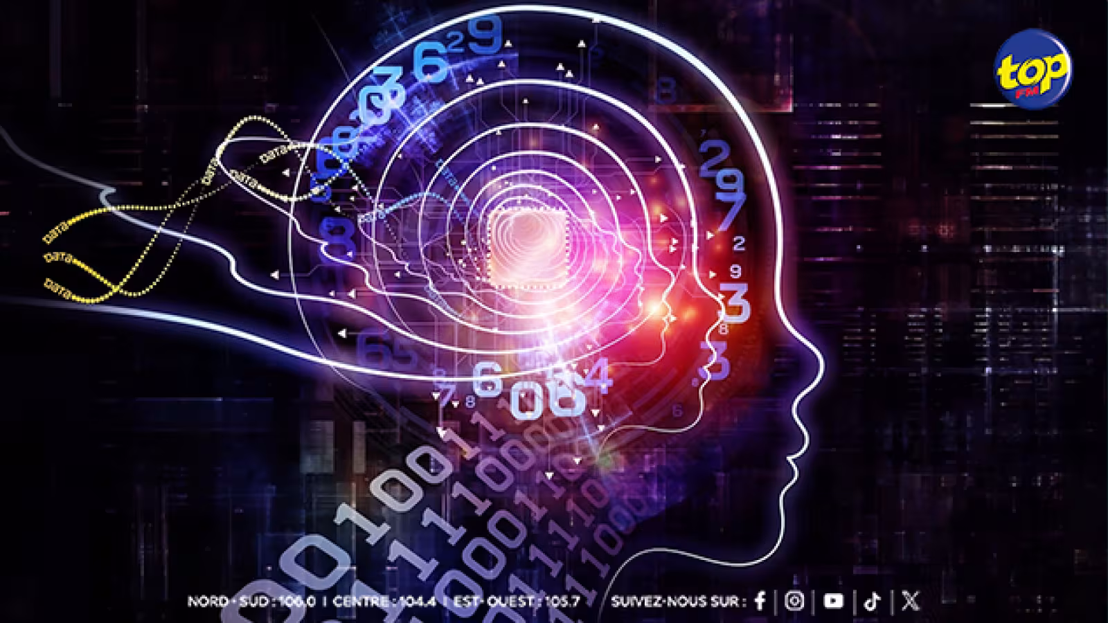 sociale intelligence