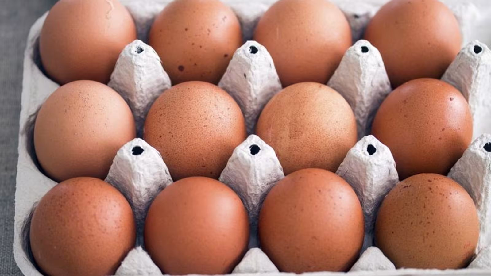 Pourquoi les œufs sont-ils bons pour la santé ?