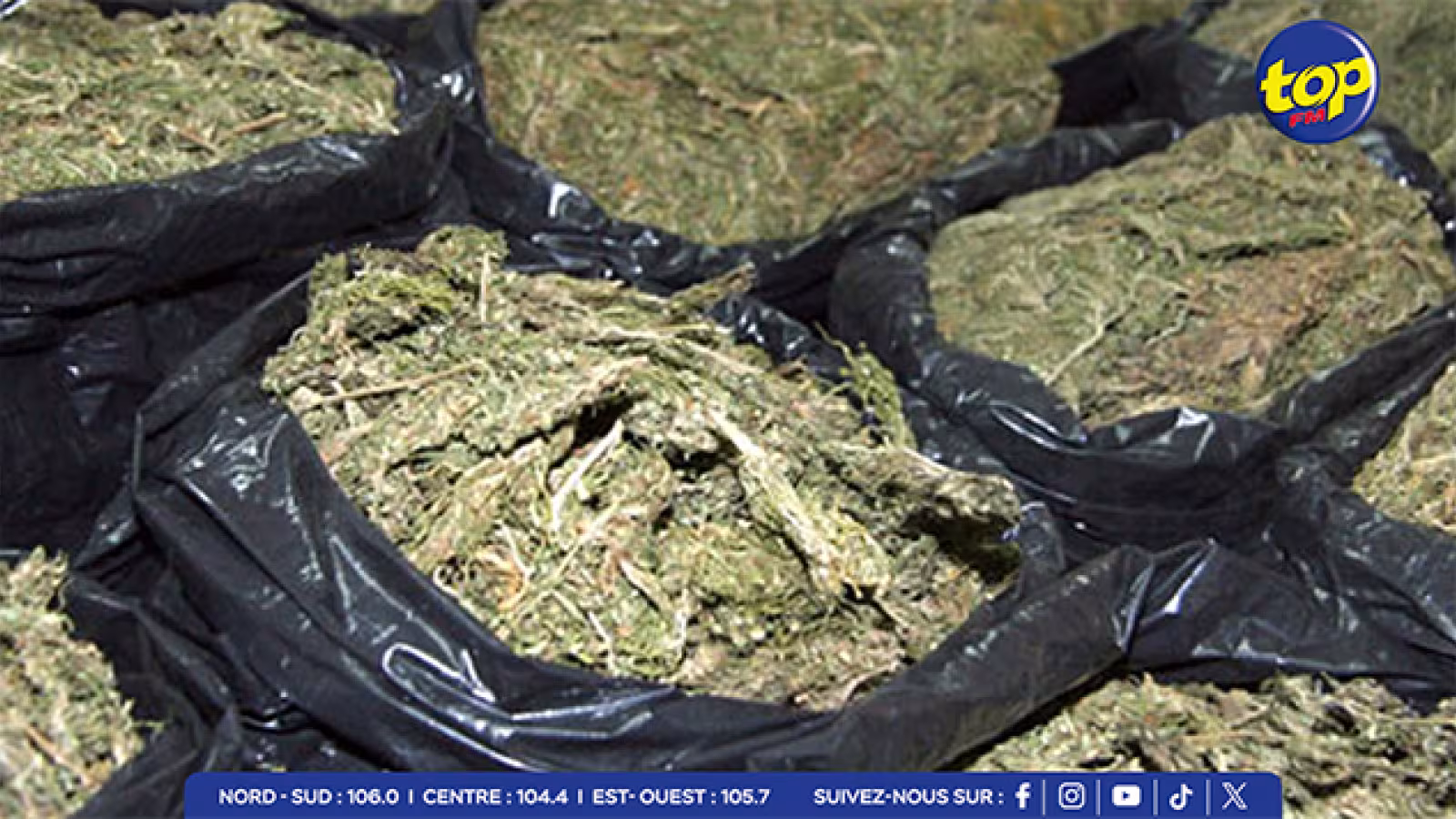 Saisie de drogue : plusieurs saisies importantes dont une de Rs 14 million de cannabis