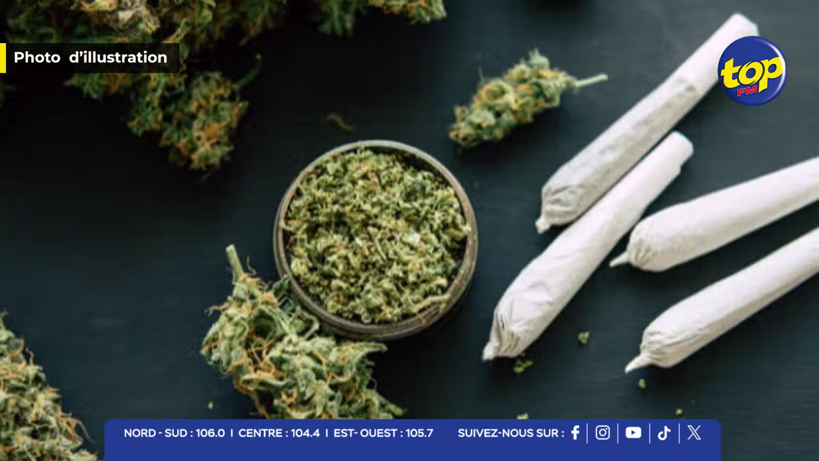 cannabis