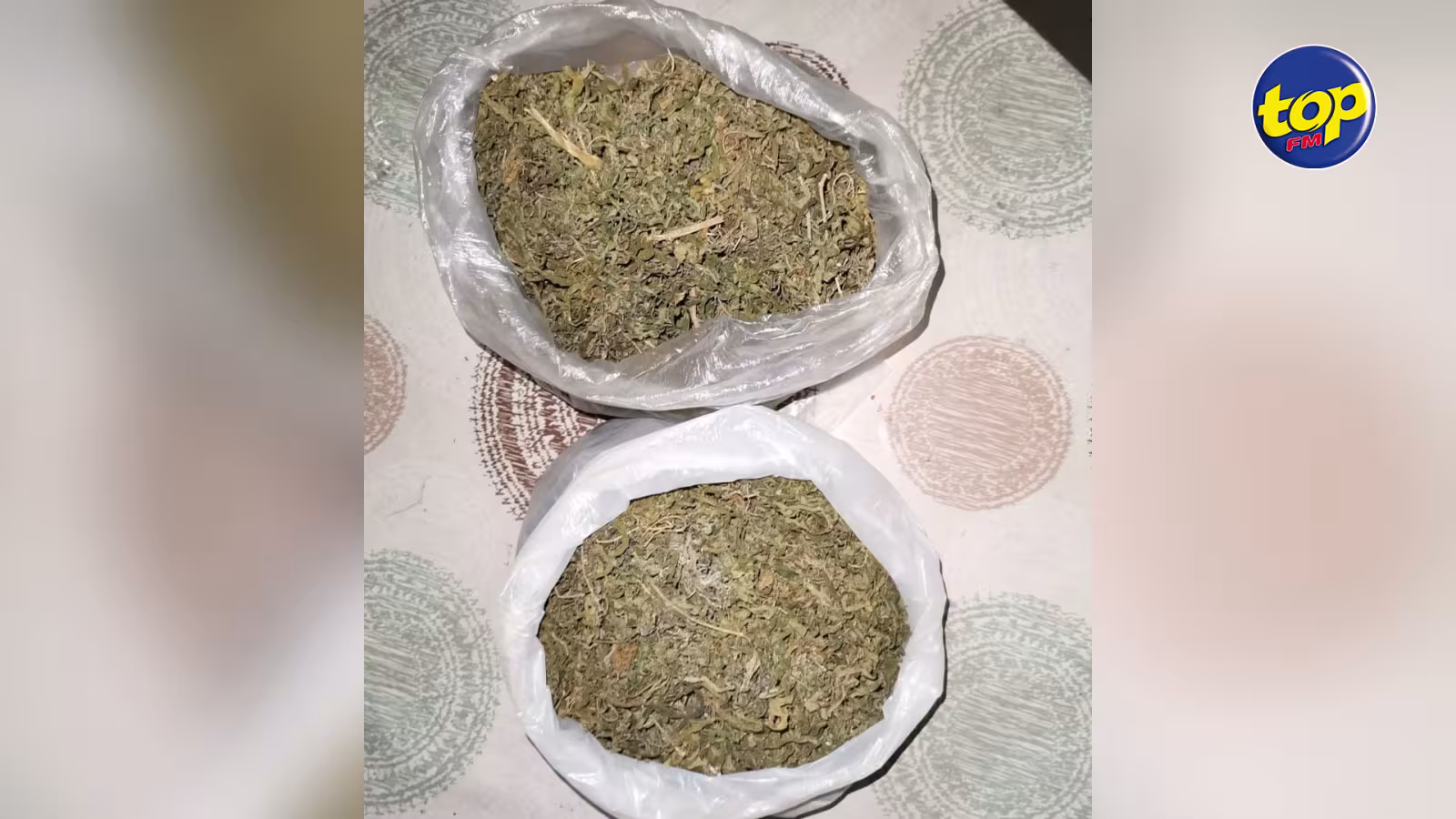 À Phoenix : Un homme arrêté avec une importante quantité de cannabis