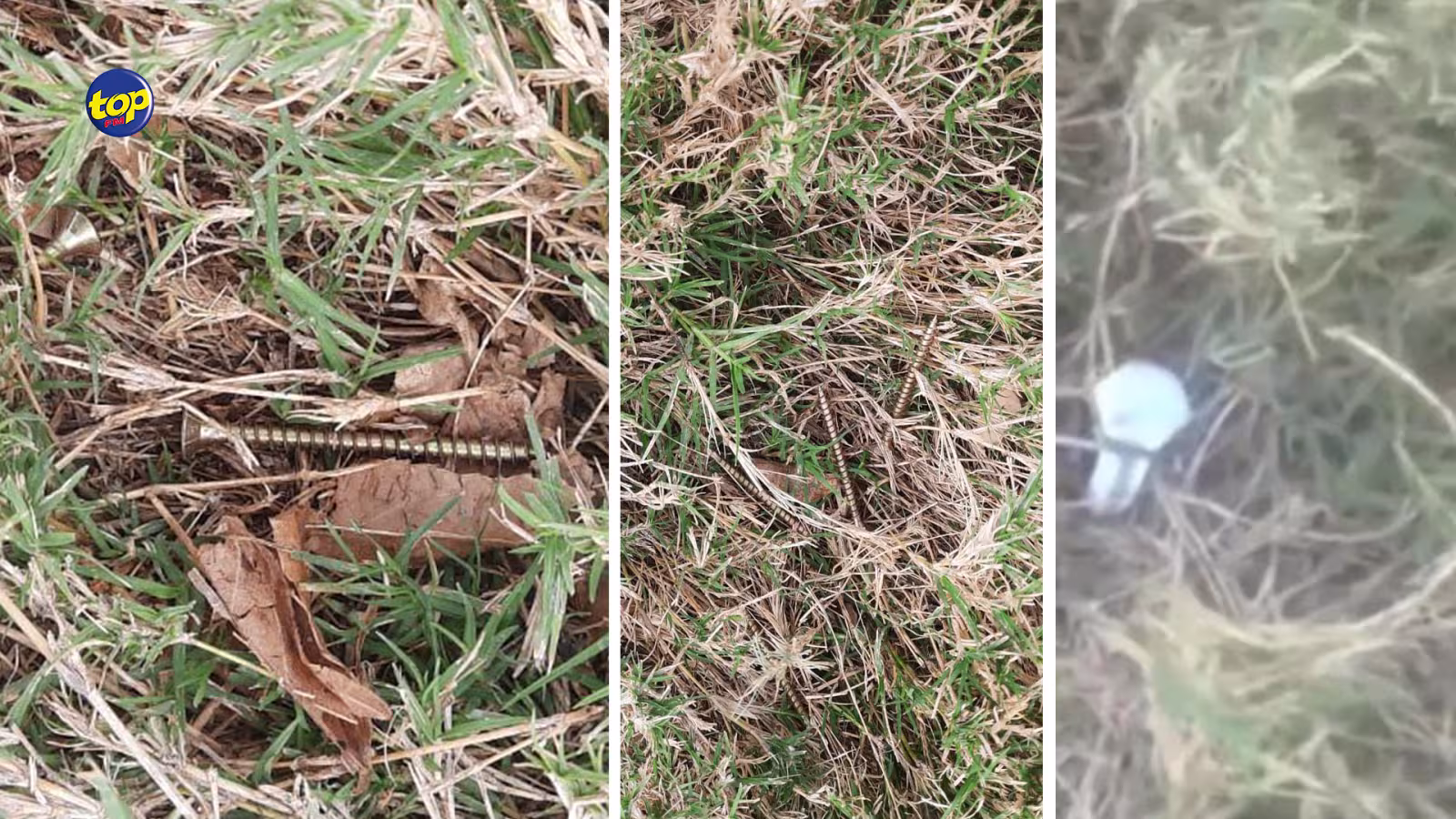 Incident au Champs de Mars à proximité de la piste : Un cheval a fait une chute dans une fosse et s’est blessé lors de l’entrainement hier matin