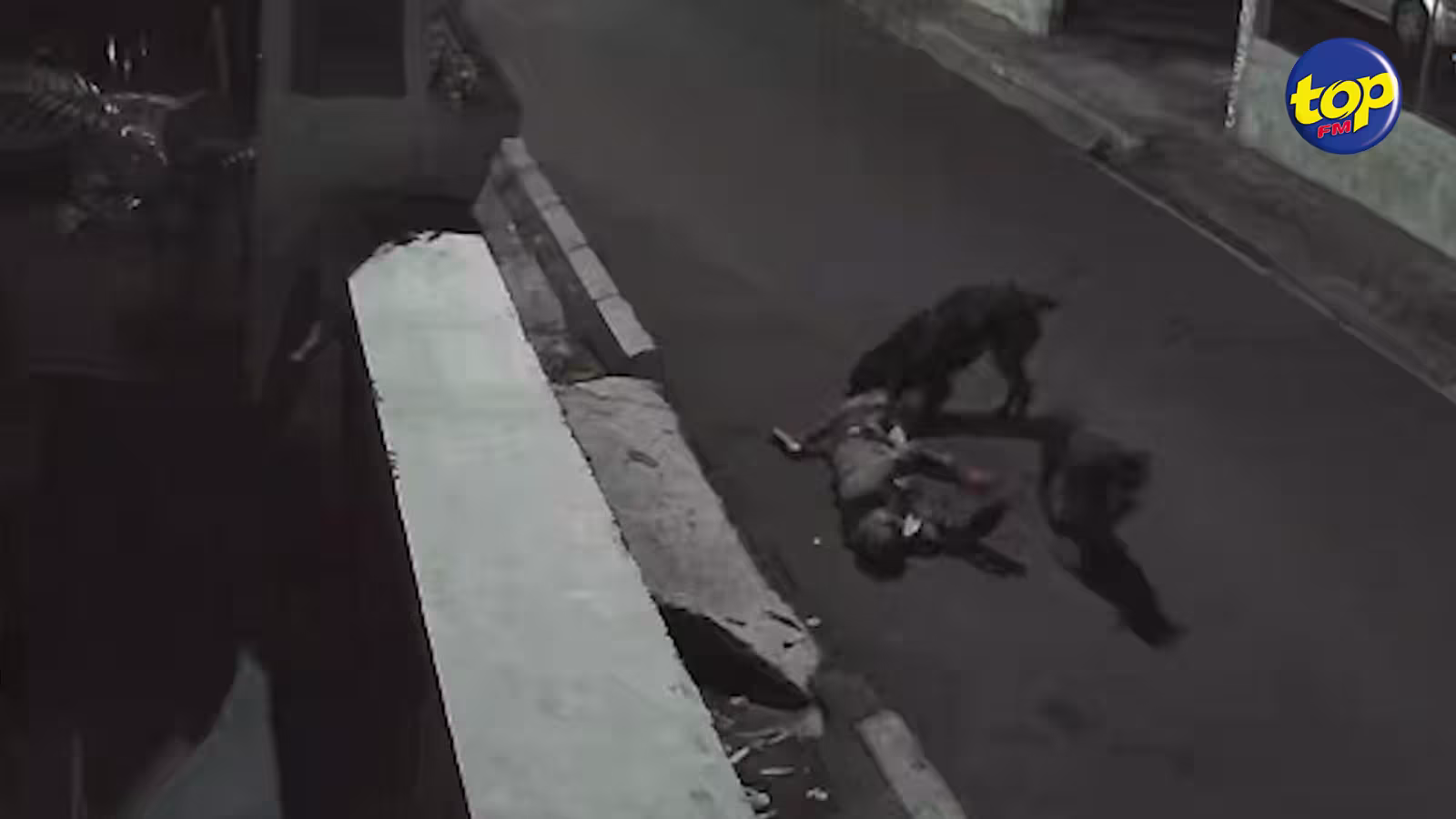 Agression d’un comptable par deux Rottweilers : Pas de liberté conditionnelle au propriétaire des molosses