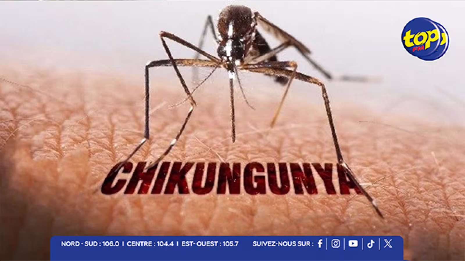 Lutte contre le chikungunya : les autorités durcissent le ton face à la prolifération des moustiques