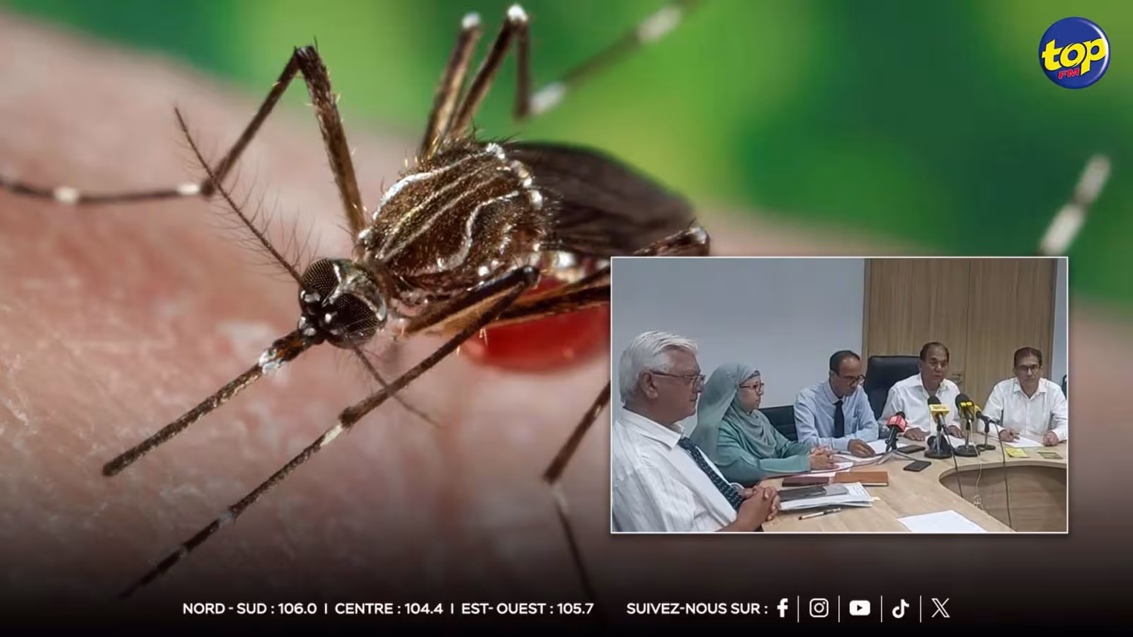 Chikungunya : un premier cas détecté à Maurice