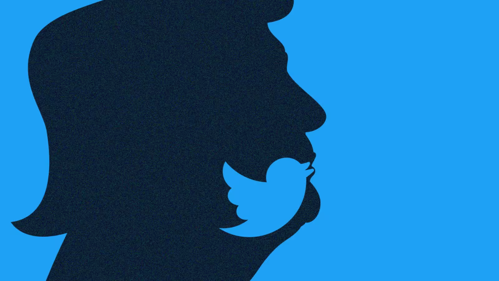 Twitter et YouTube se mobilisent contre la désinformation électorale
