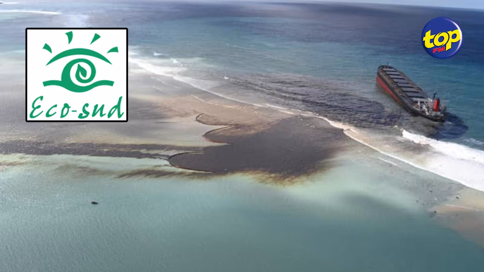Marée noire du Wakashio : l’ONG Eco-Sud a déjà récolté plus de Rs 13 millions à travers le sociofinancement