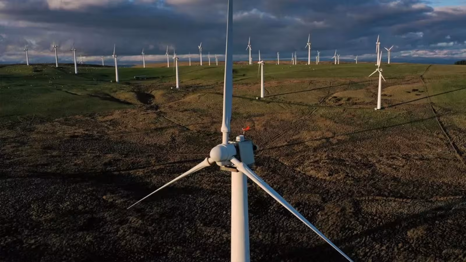 L’énergie éolienne est la première source d’électricité au Royaume-Uni