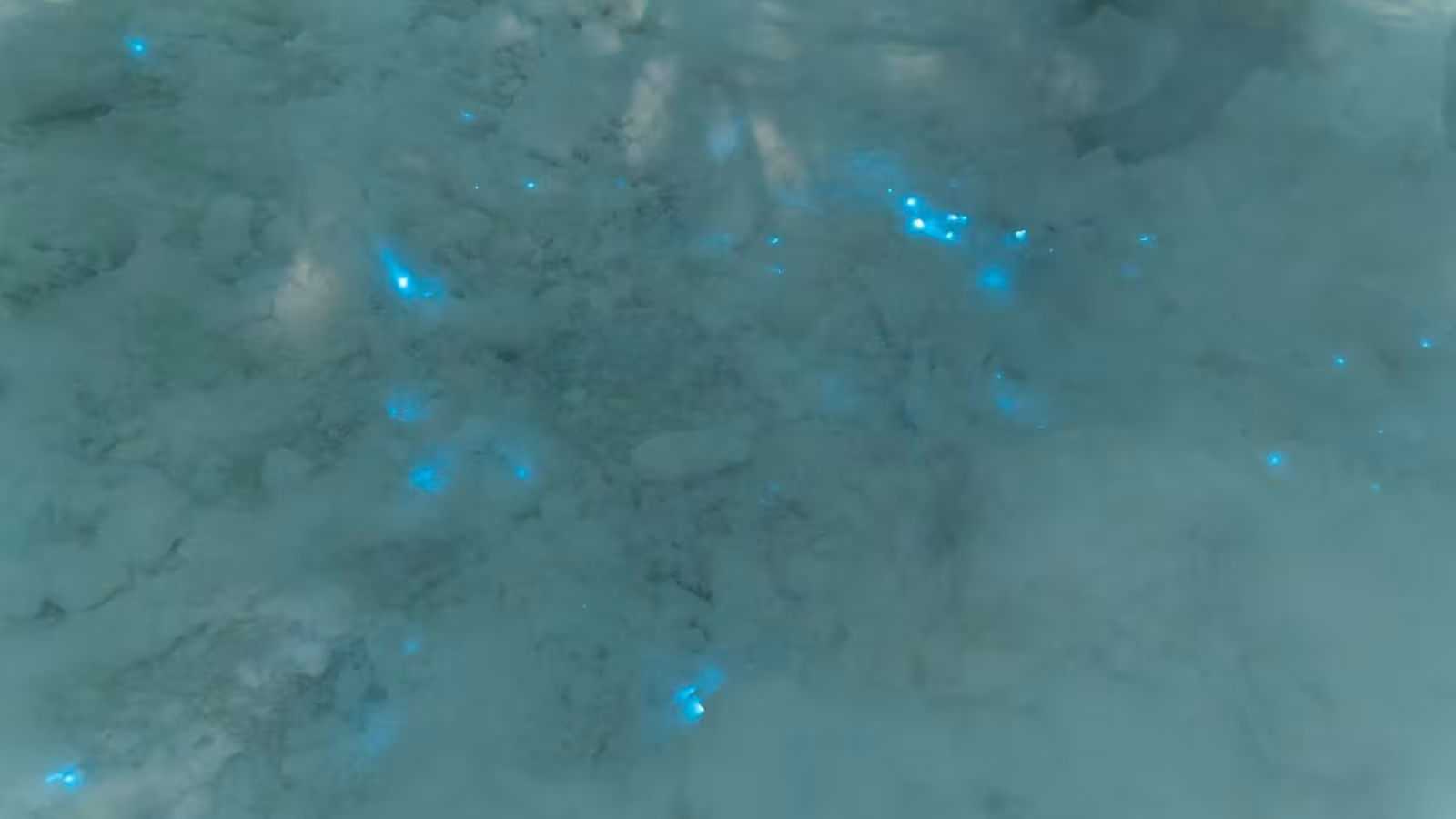 De la neige bleue scintillante découverte aux confins de l’Arctique
