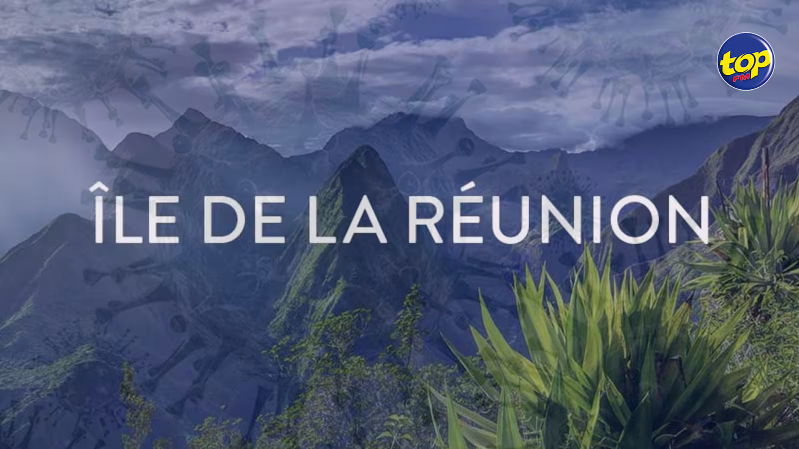 Covid-19 : l’État d’urgence sanitaire déclaré à La Réunion et en Martinique… un couvre-feu instauré