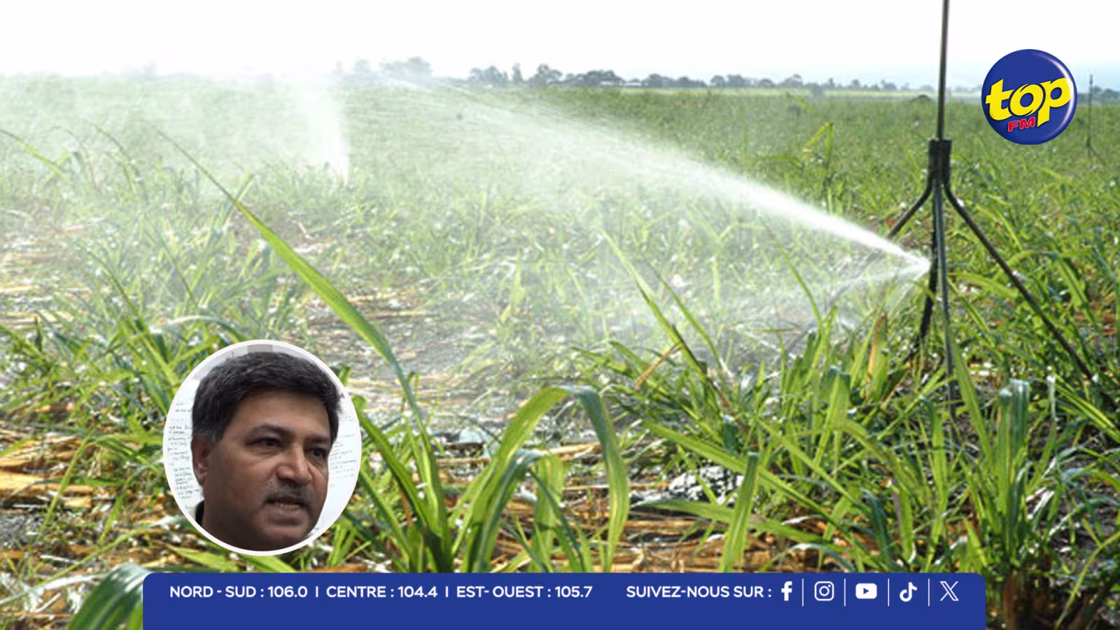 irrigation