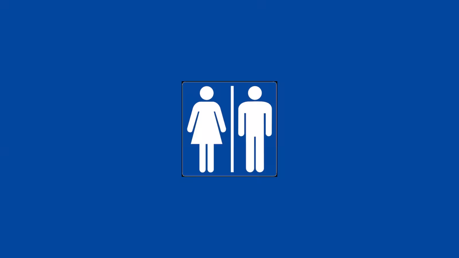 Journée Mondiale des toilettes