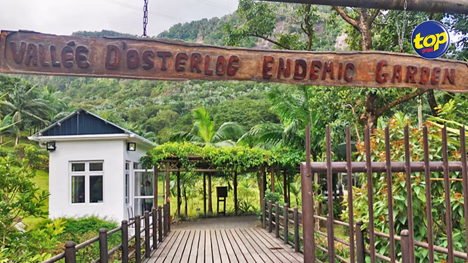 À Wooton : Un suspect arrêté dans le cadre du vol survenu à la vallée d’Osterlog Endemic Garden