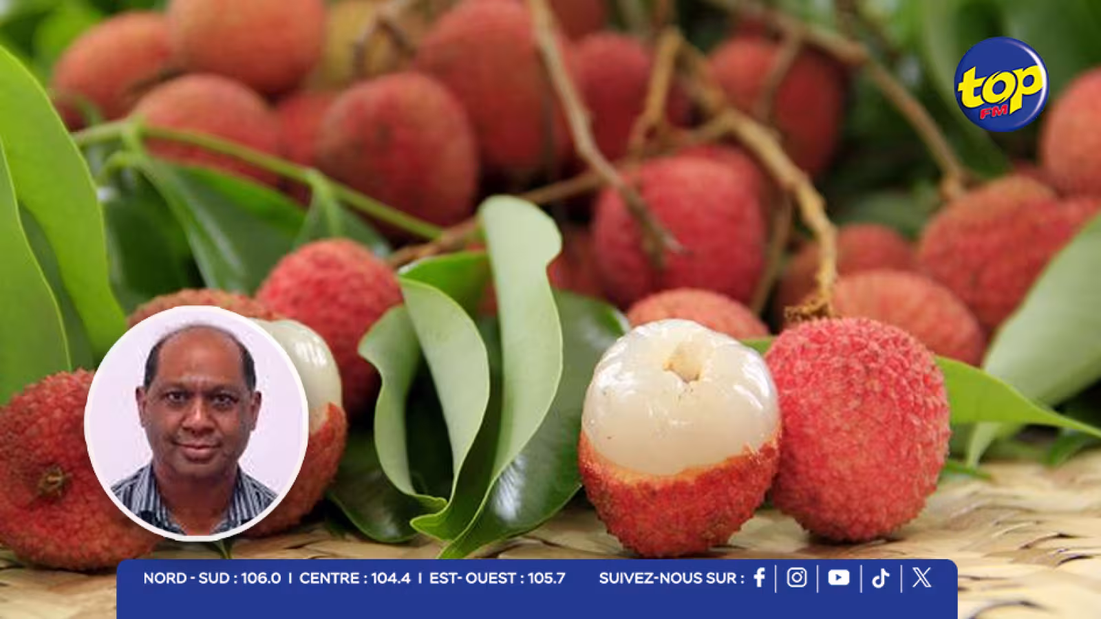 Protection des arbres fruitiers : la subvention de 50 % prolongée jusqu’au 14 novembre 2025