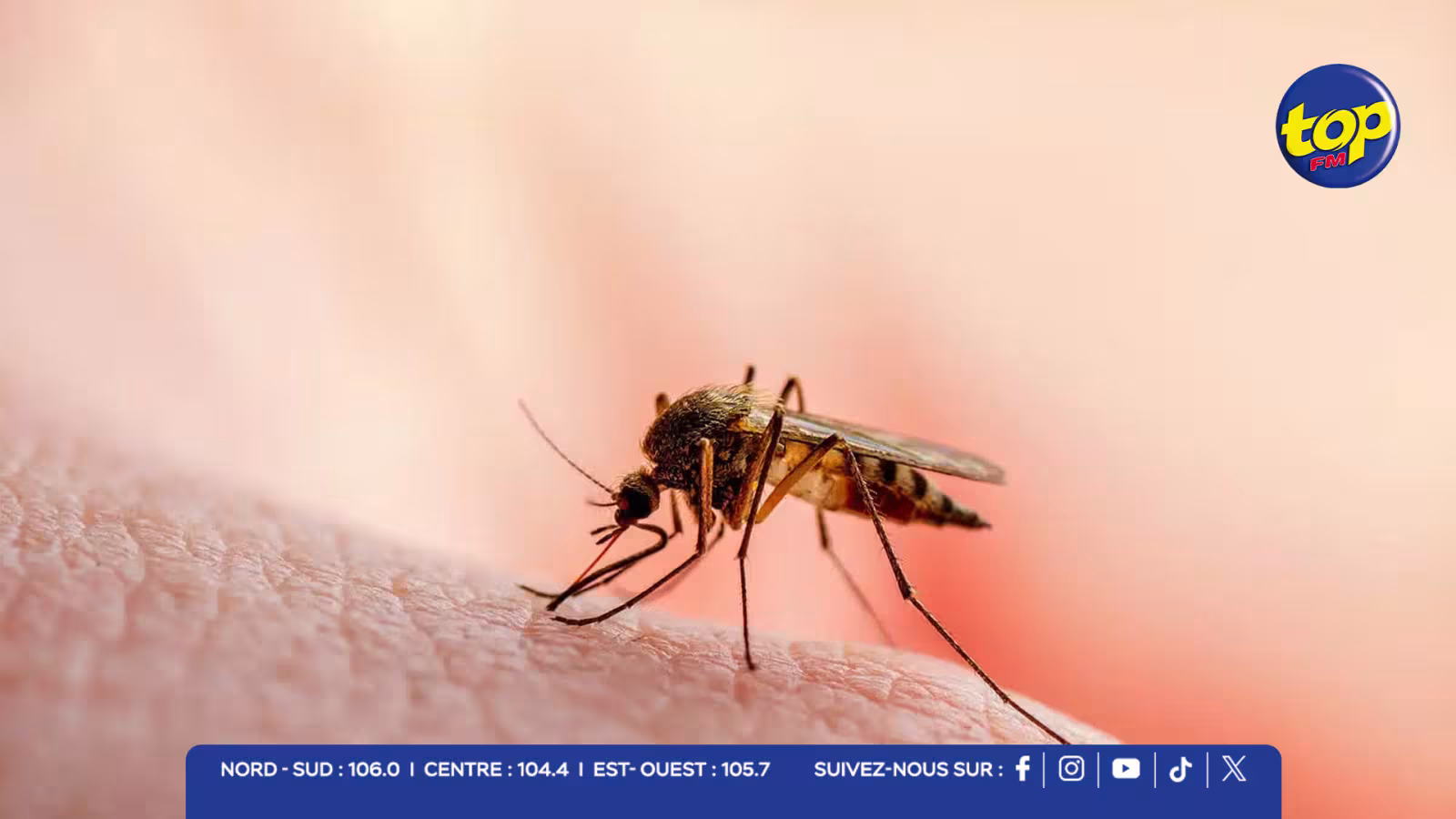 Malaria : « Aucun cas local n'a été enregistré à Maurice », rassure le Dr Ritish Luchmun