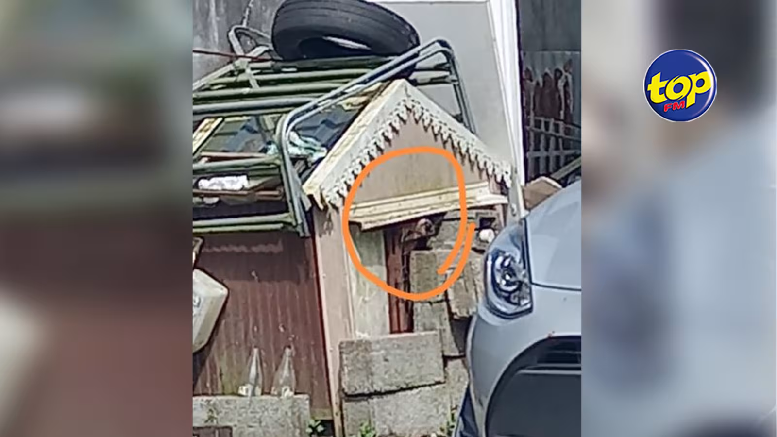 Un chien enfermé jour et nuit à Curepipe dans des conditions atroces : il est grand temps que les autorités mettent en place une Police des animaux , regrette le secouriste Sameer Golam