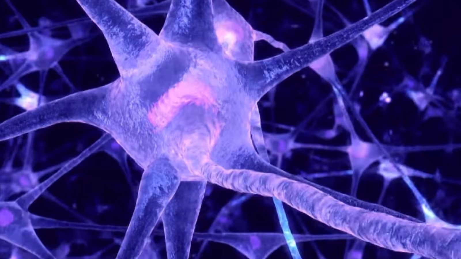 Fabriquer des neurones pour réparer des cerveaux malades devient possible