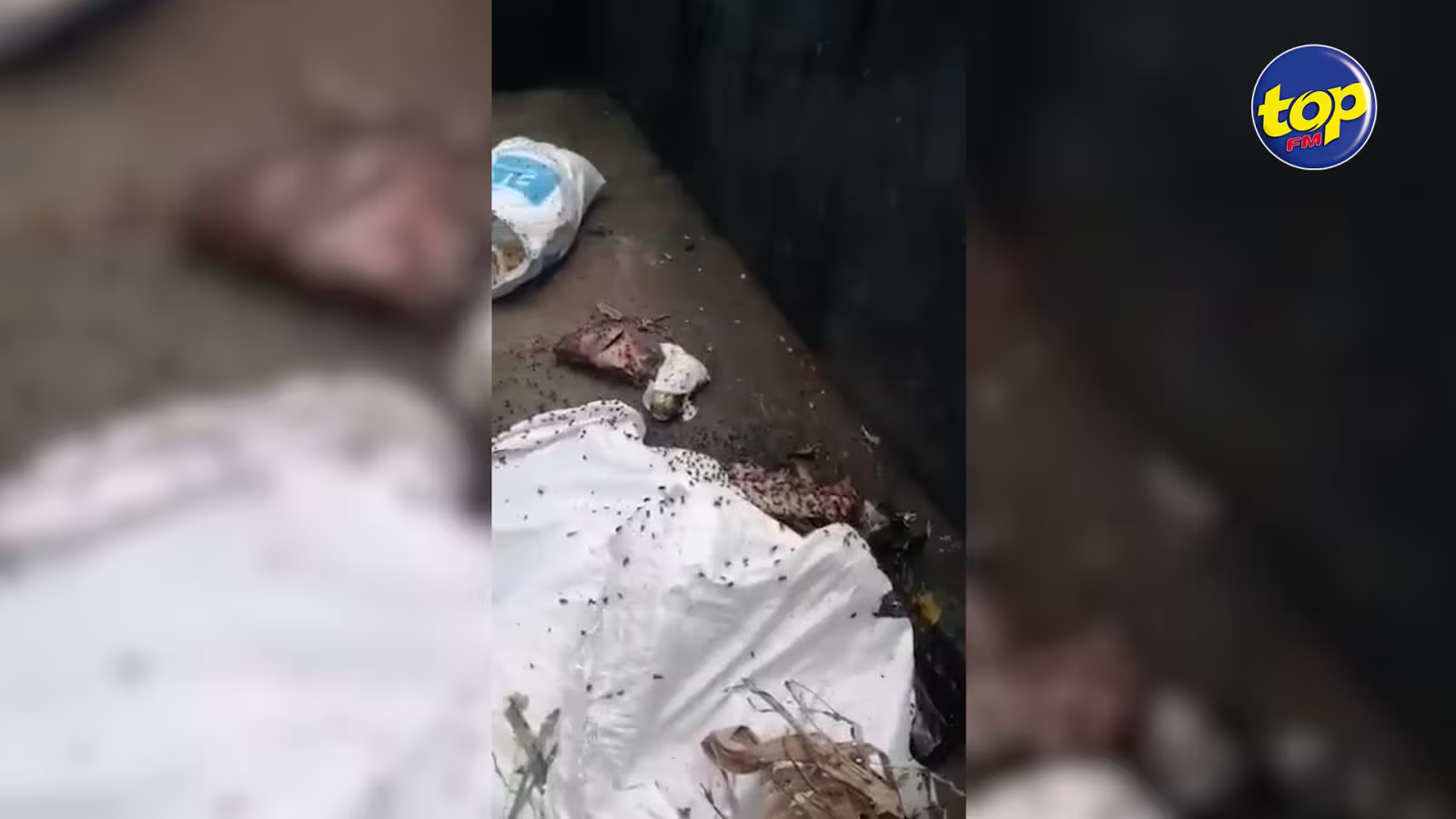 Au marché de Quatre Bornes : une odeur nauséabonde rend les maraîchers malades