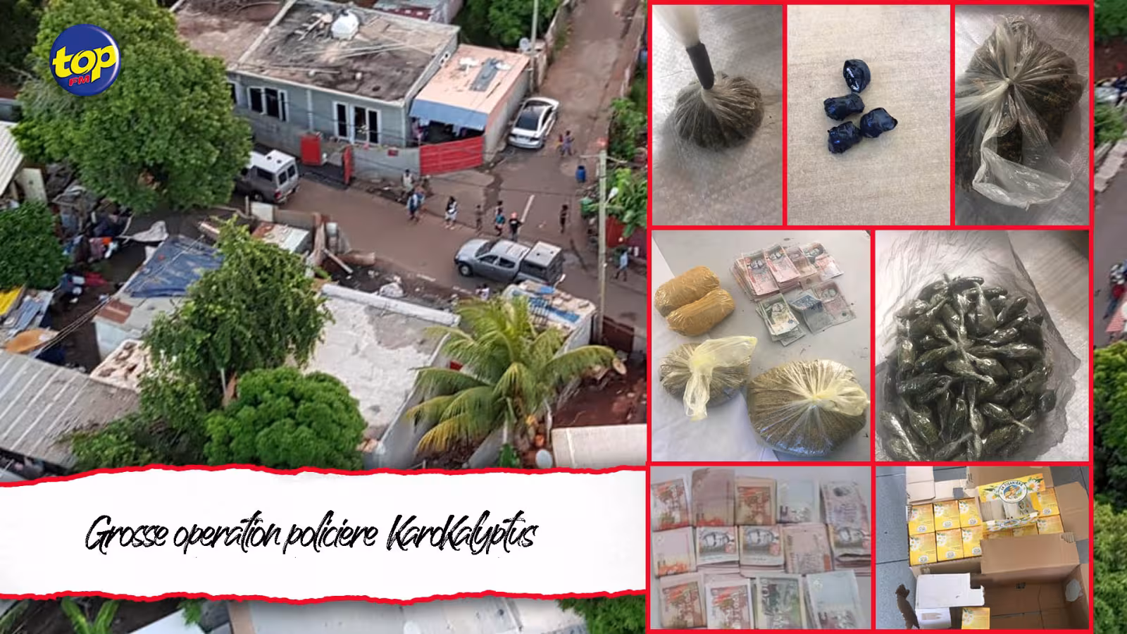 Grosse opération policière à KaroKalyptus ce matin : de la drogue valant plus de Rs 16 millions saisie neuf individus arrêtés