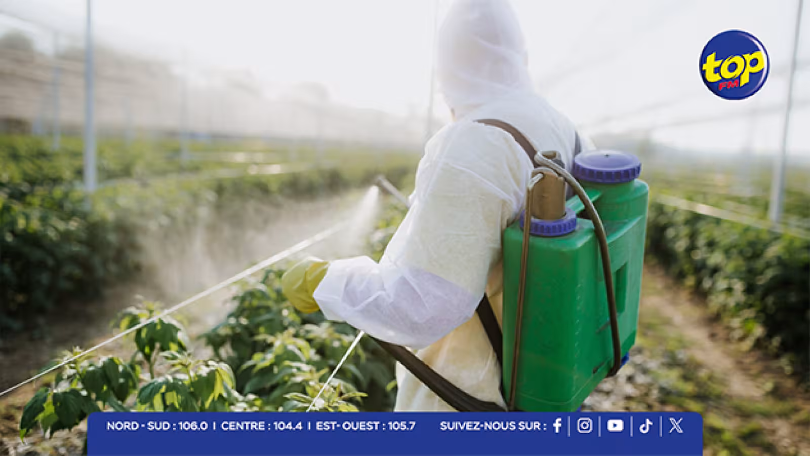 Cancer et pesticides : Arvin Boolell annonce une étude épidémiologique et une campagne de sensibilisation