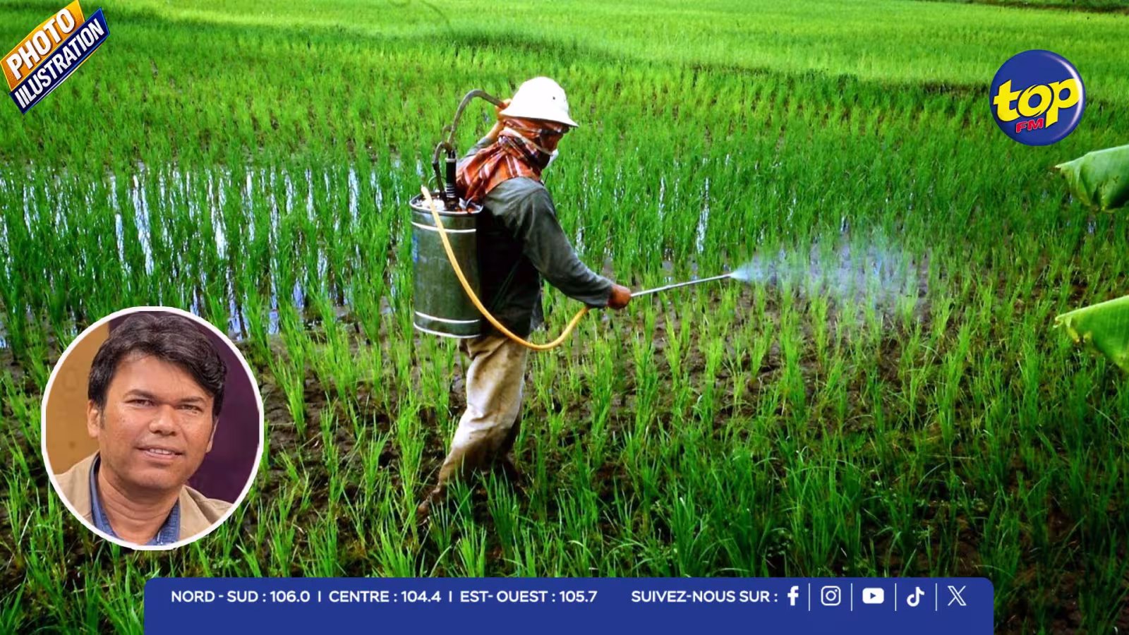 pesticides