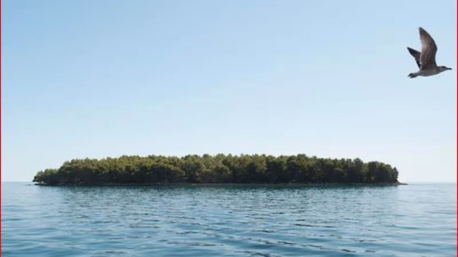 Ils survivent un mois sur une île déserte en mangeant des rats …