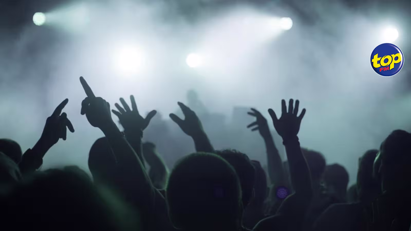 De 2015 à mai 2023 : 8 cas de Rave Party recensés, dont 5 depuis 2022