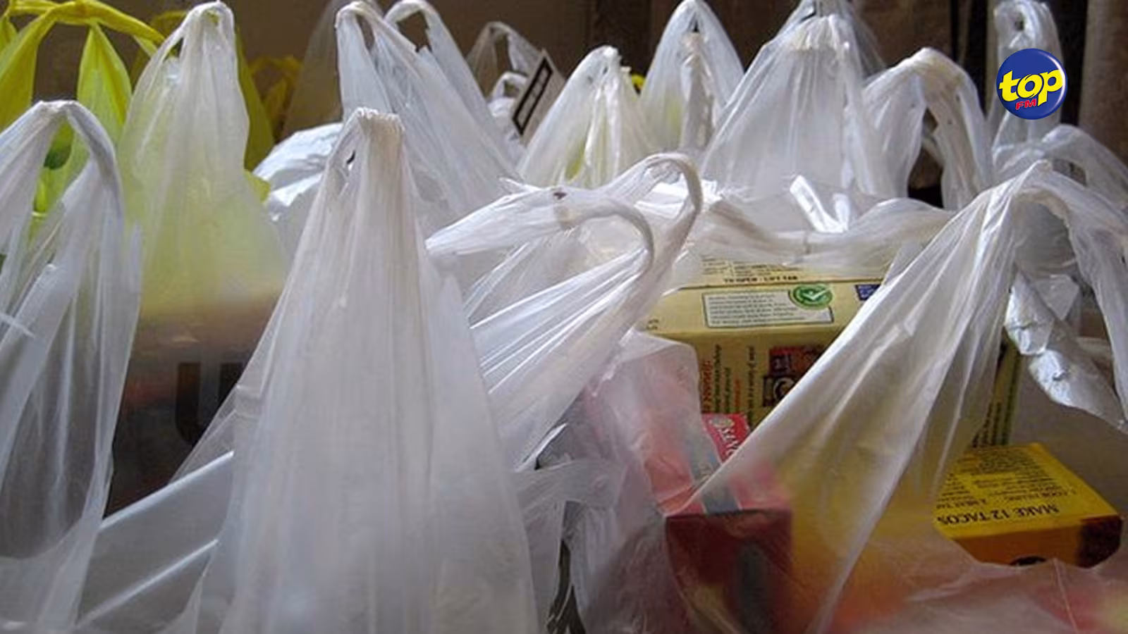 Afin de protéger l’environnement : Les sacs en plastique biodégradables ne devront plus être fabriqués avec du matériel à base de pétrole
